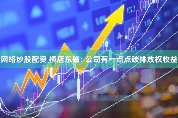网络炒股配资 横店东磁: 公司有一点点碳排放权收益