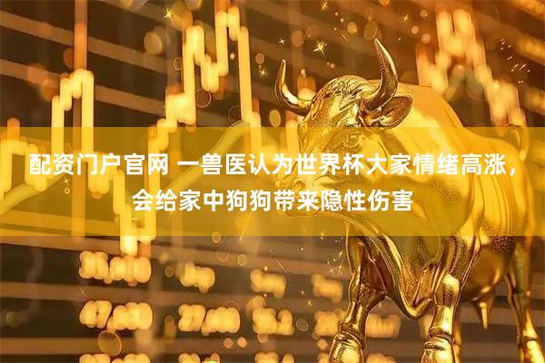 配资门户官网 一兽医认为世界杯大家情绪高涨，会给家中狗狗带来隐性伤害